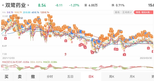 双鹭药业股票行情深度解析，洞悉股市风云，掌握投资先机