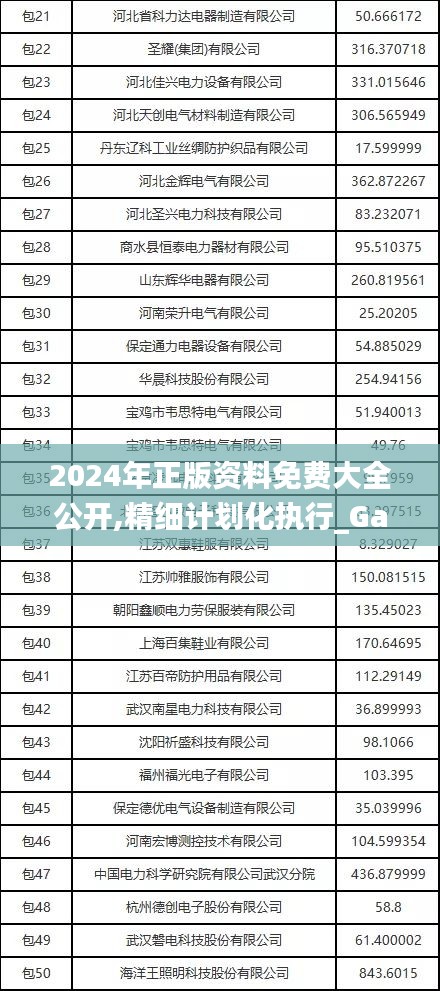 2024年正版资料免费大全挂牌,行动规划执行_授权版28.615