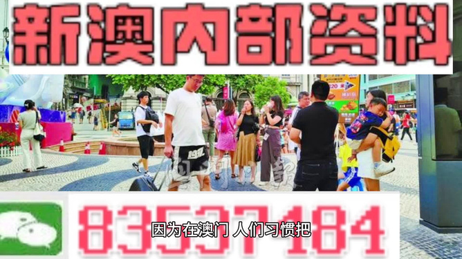 2024新澳精准资料免费提供网站,互动性策略设计_迅捷版72.404