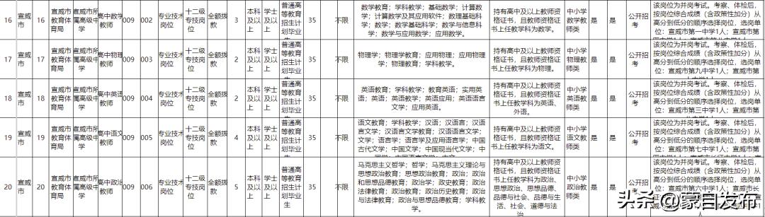 红河蒙自最新职位招聘，职场之喜与友情的绽放