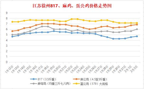 麻公鸡价格行情，科技重塑价值，新时代来临的展望