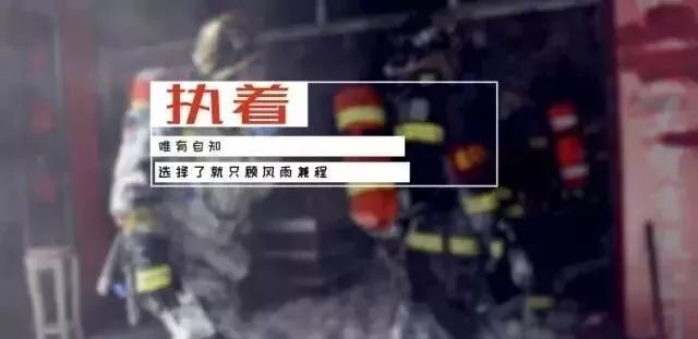 社会警钟呼唤，最新警示短片引发深度反思